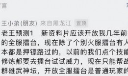 老王爆料新资料片视频,老王独家爆料，带你领略游戏世界新篇章