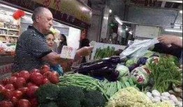长春买菜摆拍爆料视频,一场引发网友热议的短视频风波