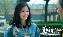 电视剧美好生活全集在线观看,温情治愈，人生百态尽收眼底