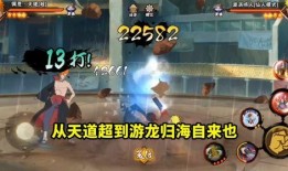 新忍者爆料咏春拳视频教学,咏春拳视频教学，传承国术精髓