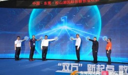 智网东莞新闻爆料,最新爆料揭示城市动态与民生焦点