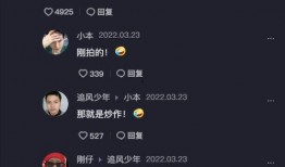 安妮妈妈爆料视频大全,揭秘育儿背后的真实故事