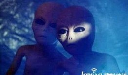 揭秘外星人爆料者视频播放,爆料者视频曝光惊人内幕