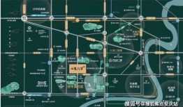 重庆花姐爆料最新消息,揭秘事件背后惊人真相