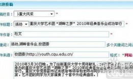 重庆新闻爆料投稿平台,聚焦城市脉搏，共筑舆论监督桥梁