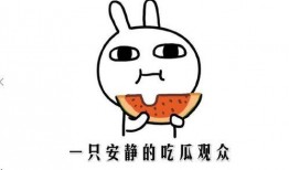 网红吃瓜q群无偿,揭秘网络红人的幕后故事