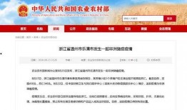 乐清网红事件最新爆料新闻,惊人内幕曝光，真相令人震惊！