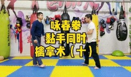 新忍者爆料咏春拳视频教学,咏春拳视频教学，传承国术精髓