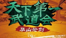 爆料华山论剑视频,武林高手巅峰对决，独家视频揭秘精彩瞬间