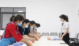 服务钟点工在线观看,在线观看一站式体验