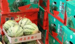 新泰吃瓜最新事件爆料图片,揭秘幕后真相，图片曝光引热议