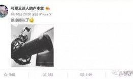 娥姐微博爆料视频在线观看,揭秘幕后真相，带你走进事件核心