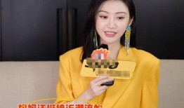 景甜采访爆料视频大全,幕后故事与心路历程