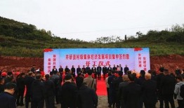 井研新闻爆料,揭秘当地热点事件背后的真相