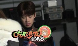 杨幂魏大勋实情爆料视频,揭秘恋情真相与分手内幕