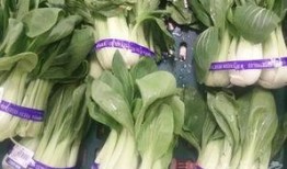 缺牙蔬菜爆料视频播放,揭秘种植牙新趋势