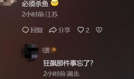 网友爆料湖北新闻视频,网友爆料惊人内幕，真相令人震惊！