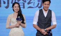高云翔离婚最新爆料,最新爆料揭露惊人内幕