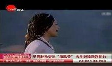 宁静八卦爆料视频大全集,视频大全集深度解析