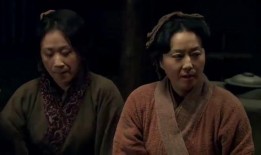 大嫂爆料父亲视频大全集,揭秘家庭丑闻背后的真相