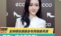 王佳颖爆料视频大全集播放,揭秘背后真相与精彩瞬间