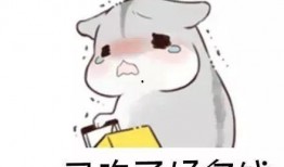 娱乐吃瓜酱当仓鼠店老板,揭秘当仓鼠店老板的趣味日常