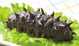 烟台海参爆料事件始末视频,事件始末深度解析