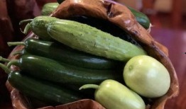 长春市网红吃瓜,揭秘城市生活趣味瞬间