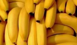 吃瓜不如香蕉皮免费,揭秘免费美食新潮流