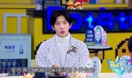 娱乐吃瓜酱歌曲大全视频,盘点热门曲目，带你领略音乐魅力