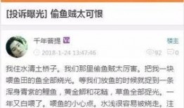 江安的新闻爆料该找谁投诉,揭秘投诉渠道，助力维权行动