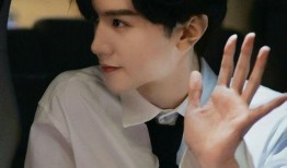 陈哲远娱乐圈爆料视频大全,揭秘明星幕后故事