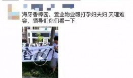 徐州大华业主爆料案件最新,揭露小区安全隐患与维权之路