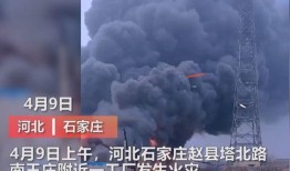 石家庄爆料撞人视频,现场视频曝光，警方介入调查