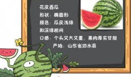 吃瓜的瓜小说免费阅读,免费阅读吃瓜小说背后的故事