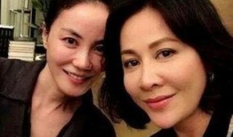 刘嘉玲爆料视频合集在线,揭秘娱乐圈幕后故事