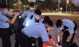 香港碎尸案爆料视频大全,惊悚事件背后的真相与疑云