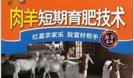 育肥羊爆料视频大全集,视频大全集深度解析