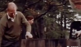 泄欲实录在线观看,在线观看背后的真相与警示