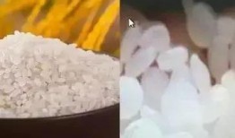 大米加工爆料视频,从田间到餐桌的华丽蜕变