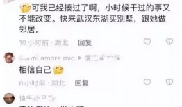爆料霸凌刘亦菲视频大全,真相与争议并存