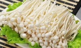 金针菇今日爆料最新,揭秘娱乐圈惊人内幕！