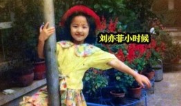 爆料霸凌刘亦菲视频大全,真相与争议并存