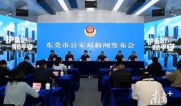 智网东莞新闻爆料,最新爆料揭示城市动态与民生焦点