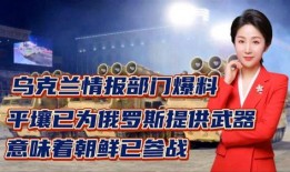 俄罗斯今日爆料新闻,最新爆料揭示重大事件真相