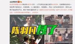 陈律爆料赖嘉欣视频,真相背后引人深思
