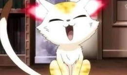 娱乐吃瓜酱长矛老师,娱乐吃瓜界的翘楚，揭秘娱乐圈幕后风云