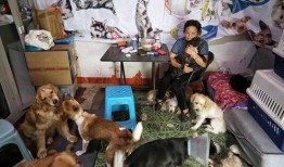 流浪狗爆料刘阳姐姐视频