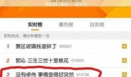 卓伟爆料杨丞琳视频事件,真相与争议交织