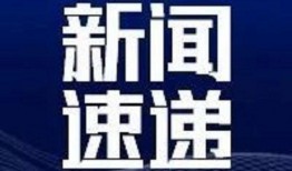 最新官方爆料新闻